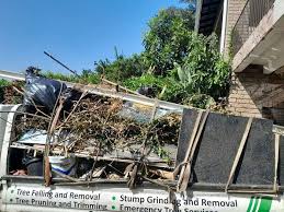 Best Attic Cleanout  in Sturtevant, WI